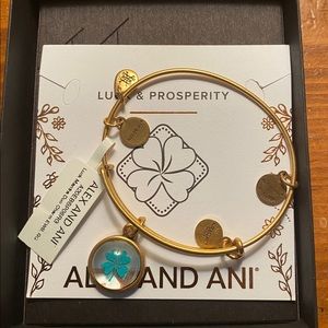 New Alex and Ani Bracelet